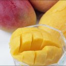 망고피시방 이미지