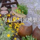 고씨굴팬션 이미지