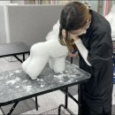 (단기)반려동물미용사(자격증) 이미지