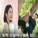 고창군보건소 | 닥터섬보이 몇부작 시청률 등장인물 촬영지 (+OTT 편성표)