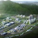 약선생약 이미지