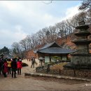 임곡농업협동조합 | 당일여행코스 테마여행 영화.드라마 촬영지 / 영주여행