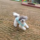 멍스테이션 이미지