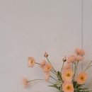 제이아트 (J아트) 이미지