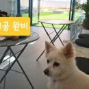 밈카페 이미지