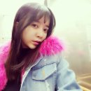 이잎새 카카오 검색결과