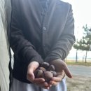 솔밭매점 이미지