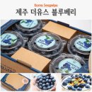 이슬농장 | 6월 제철과일 제주더유스 산지직송 제주 블루베리 농장 1kg 택배 후기