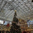 나들이 간 도서관 | 서울 코엑스 별마당 도서관 &amp; 해리포터 팝업 - 주말 친구랑 나들이 후기