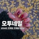 [경기 수원] 오투네일 | 인계점, 해리디자이너, 호박네일, 호박마블네일, 내돈내산