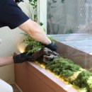 나만의 플랜테리어 이미지