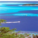 풀밭나라 이미지