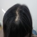 닷플레이스 이미지
