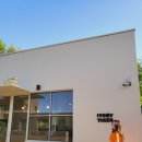 아이보리 타이거 이미지