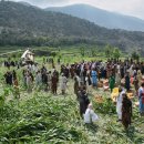 다라(Dara) house 이미지