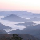 태백산목장 티스토리
