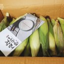 강원도 횡성군 횡성읍 읍상로 이미지