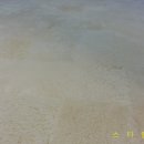 판교세탁 이미지