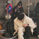 쓰담쓰담 이미지