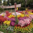 소새울역 이미지