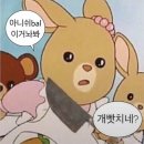 댕댕포레스트 | 후기) 전주 근교 애견 동반 숙소 / 완주 댕댕포레스트 / 마당이 넓은 숙소 / 뛰어놀기 좋아하는 강아지...