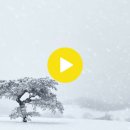 서정목장 이미지