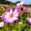 광주 천변길3 이미지