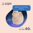 임신32주-34주 임신기록(자분?제왕?,셀프만삭사진,태동검사,막달검사,임산부왁싱,출산휴가,임산부강릉...