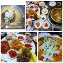 양은이네 동태탕 보쌈 월곡점 | 월곡역 맛집 - 동태탕부터 오징어보쌈 냉면까지 가성비최고 양은이네