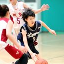 서울서초초등학교 이미지