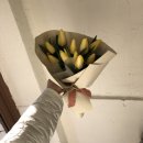 수수화 이미지