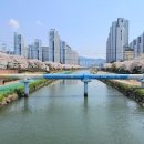 온천천일대5 이미지