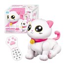 스마트캣 이미지