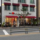 요거프레소 | 요거프레소 빙수 메뉴 추천, 피치망고 요거트빙수&amp;치즈 요거트빙수 후기 🍧