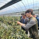 마장축산시장2-3 이미지