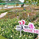 대왕의료기 이미지