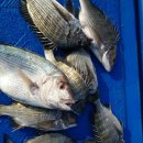 월항민박 이미지