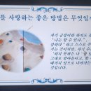 성인 하브루타 | &lt;강의후기&gt; 줌11탄. 성인을 위한 그림책 힐링 하브루타