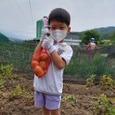 상지유치원 - 문경시 | 상지유치원