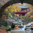 송광약국 이미지