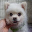 예일동물병원 이미지