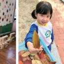 한림성심대학교부속 한림유치원 이미지