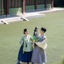 신라호텔 팔선 돌잔치 셀비아룸 돌스냅 디폴린스냅 대표 촬영 후기 (추가 2만원 할인)