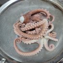 매일낙지 이미지