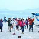 소안면-1 이미지