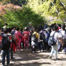 분향초등학교 이미지