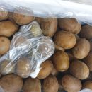 소랑다래랑 이미지