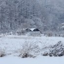 어가본가 이미지