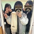 여주-0208 이미지