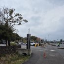 서광리-15 | 제주 오설록 티뮤지엄 방문 후기 그린티웨하스,제주영귤블렌드 구매와 카페 메뉴 총정리했어요